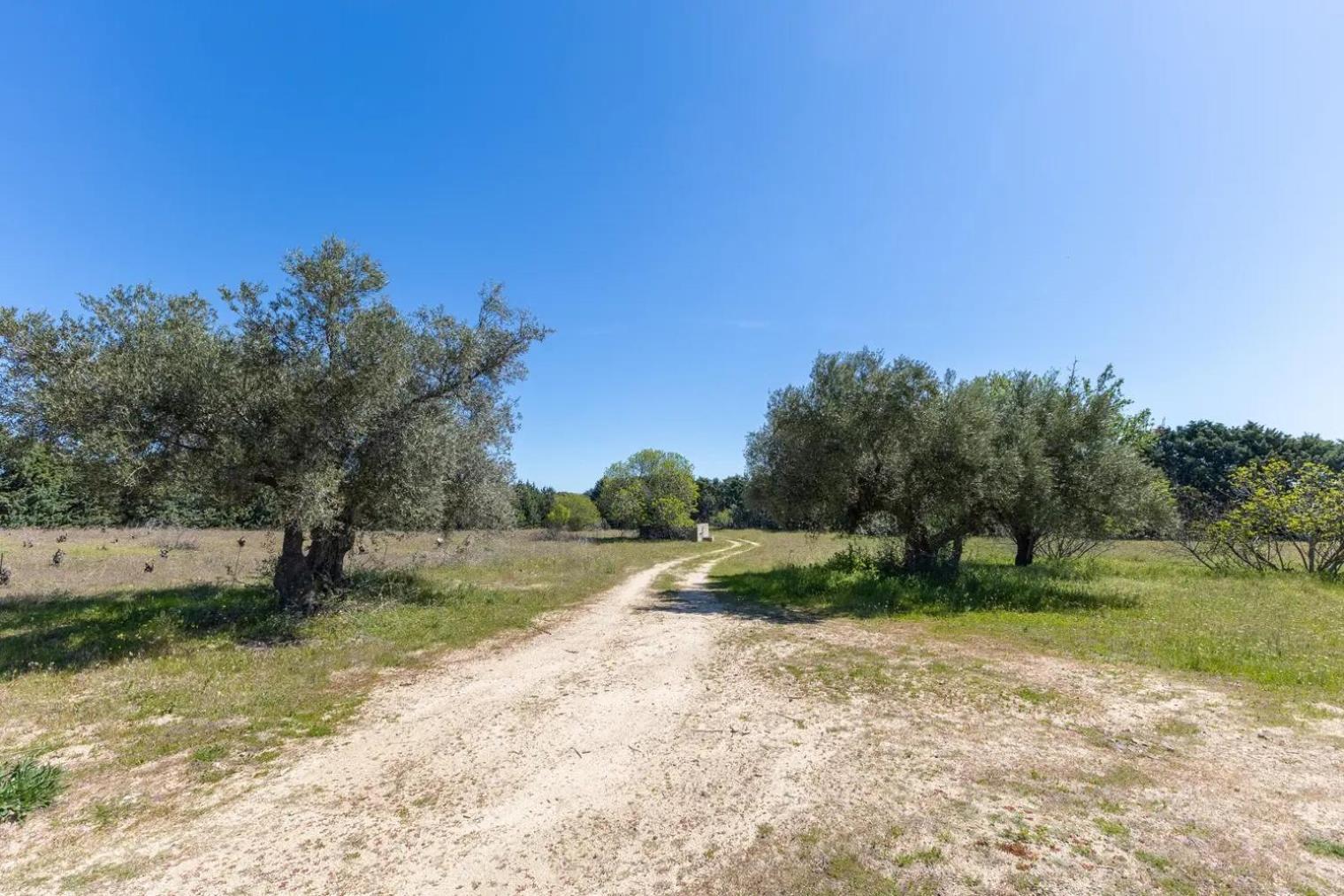 Finca El Palomar De La Vina Madrid Luaran gambar